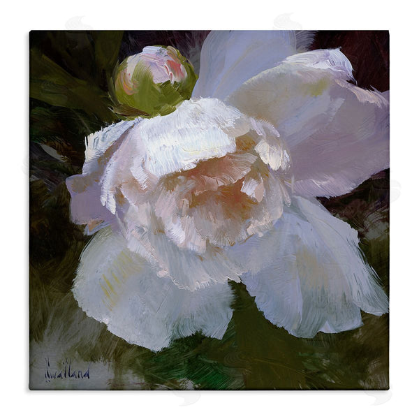 stupell industries Katie Swatland | Ruffled Petals White Flower Wall Art