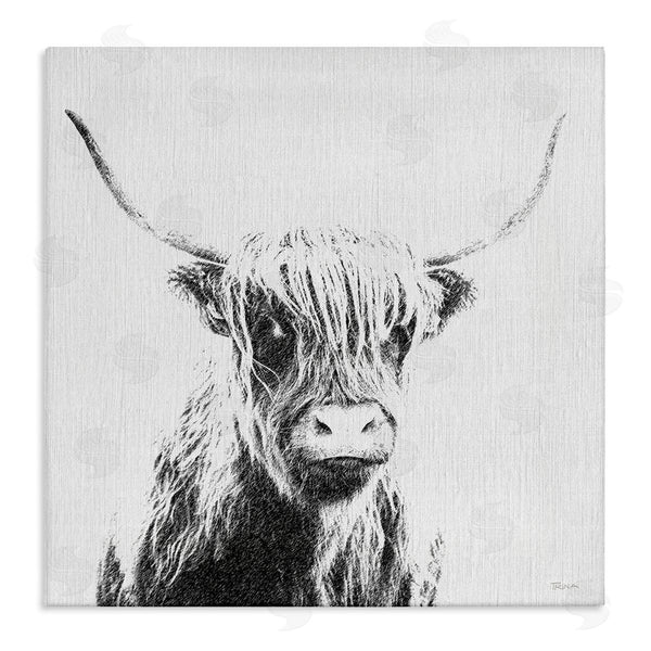 stupell industries Katrina Craven | Longhorn Sketch in Grey Wall Art