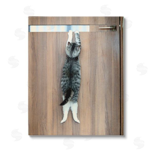 stupell industries Kazutoshi Ono | Desperate Cat Escaping Wall Art