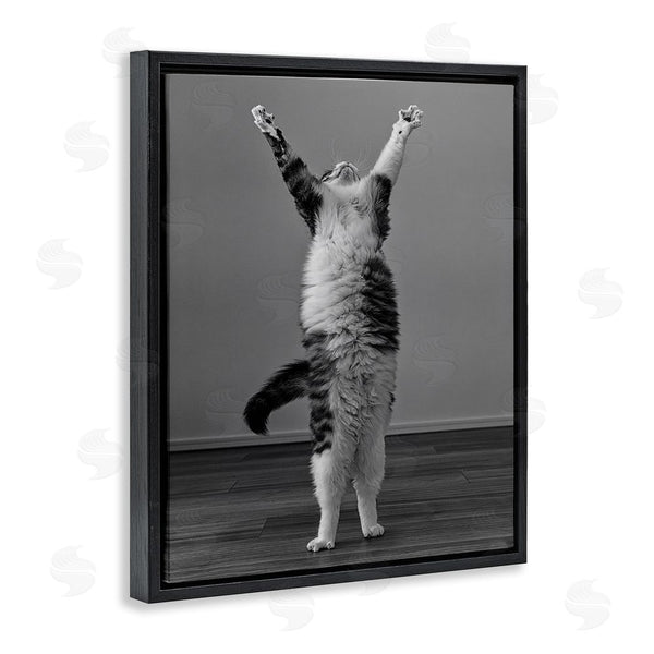 Stupell Industries Kazutoshi Ono | Funny Cat Victory Pose Wall Art