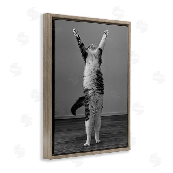 Stupell Industries Kazutoshi Ono | Funny Cat Victory Pose Wall Art