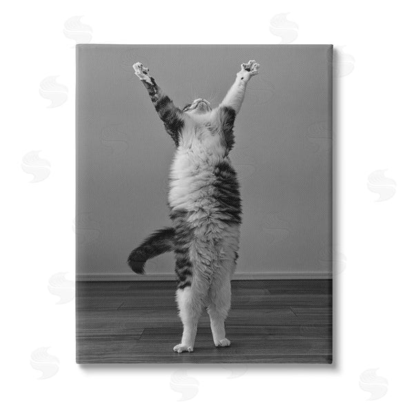 stupell industries Kazutoshi Ono | Funny Cat Victory Pose Wall Art