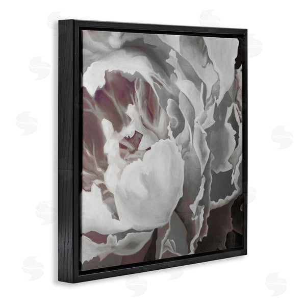 Stupell Industries KC Haxton | Close Up Peony Blossom Wall Art