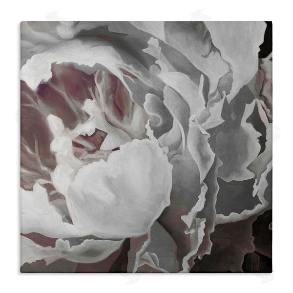 stupell industries KC Haxton | Close Up Peony Blossom Wall Art