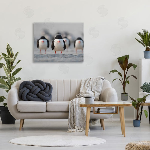 Stupell Industries Ke Qiang Ruan | Black Skimmer Gang Wall Art