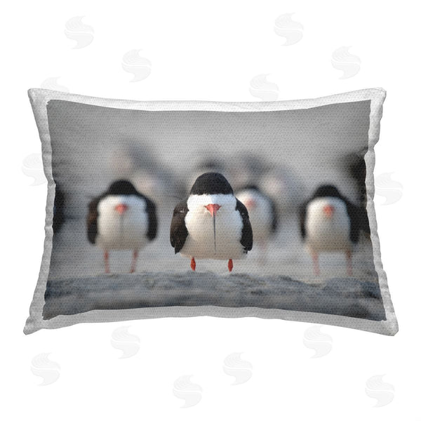 Stupell Industries Ke Qiang Ruan | Funny Birds Lined Up