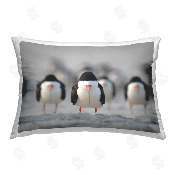 stupell industries Ke Qiang Ruan | Funny Birds Lined Up
