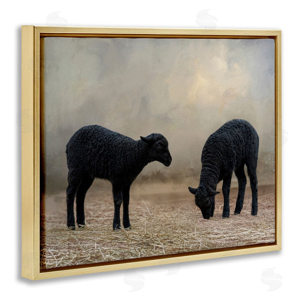 Stupell Industries Kelley Parker | Black Sheep Grazing