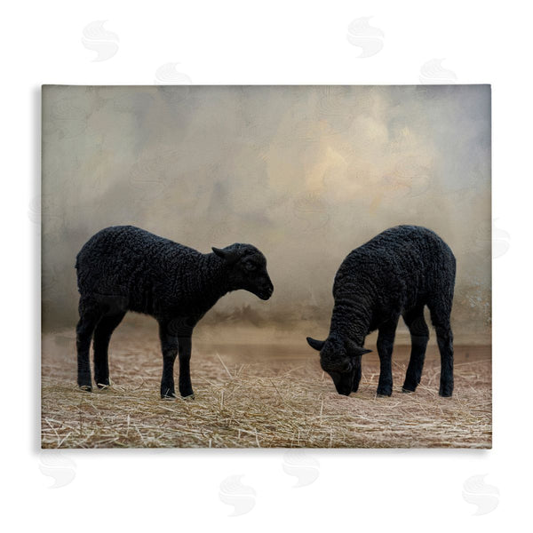 stupell industries Kelley Parker | Black Sheep Grazing