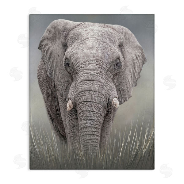 stupell industries Kelley Parker | Graceful Titan Elephant