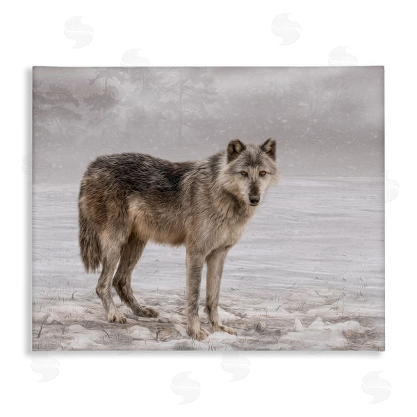 stupell industries Kelley Parker | Lone Coyote Wolf Snowy Field Landscape Intricate Details Wall Art