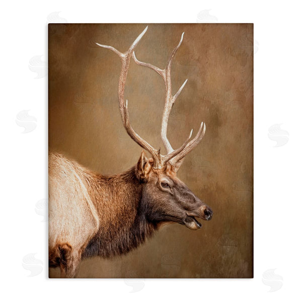 stupell industries Kelley Parker | Outdoorsman Rustic Deer