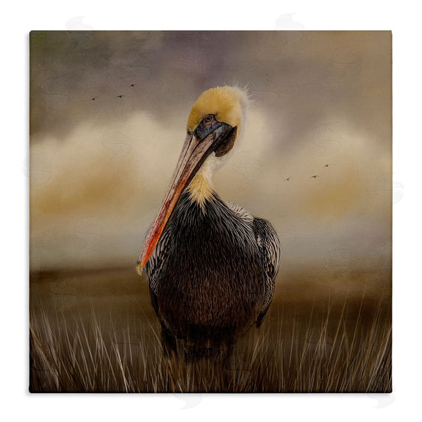 stupell industries Kelley Parker | Pelican Cloudy Nature Sky Wildlife Wall Art