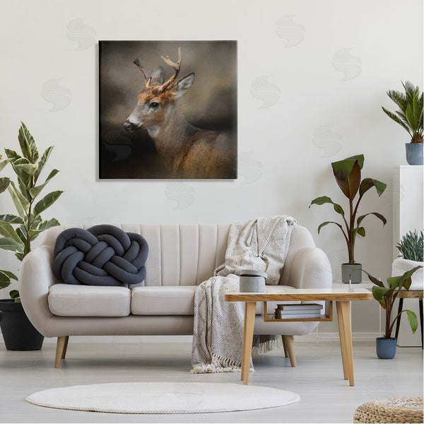 Stupell Industries Kelley Parker | Woodland Deer Nature Photography Wall Art