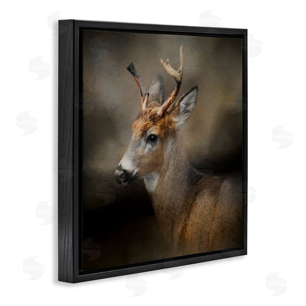 Stupell Industries Kelley Parker | Woodland Deer Nature Photography Wall Art