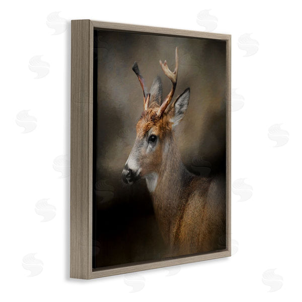 Stupell Industries Kelley Parker | Woodland Deer Nature Photography Wall Art