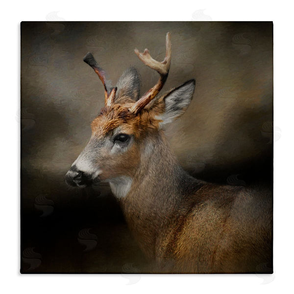 stupell industries Kelley Parker | Woodland Deer Nature Photography Wall Art