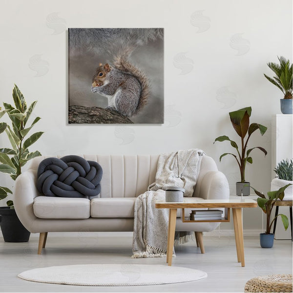 Stupell Industries Kelley Parker | Woodland Wildlife Squirrel Photography Wall Art