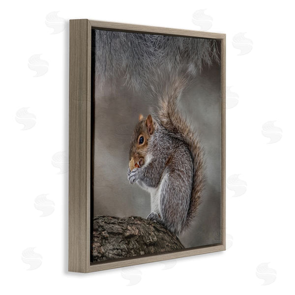 Stupell Industries Kelley Parker | Woodland Wildlife Squirrel Photography Wall Art