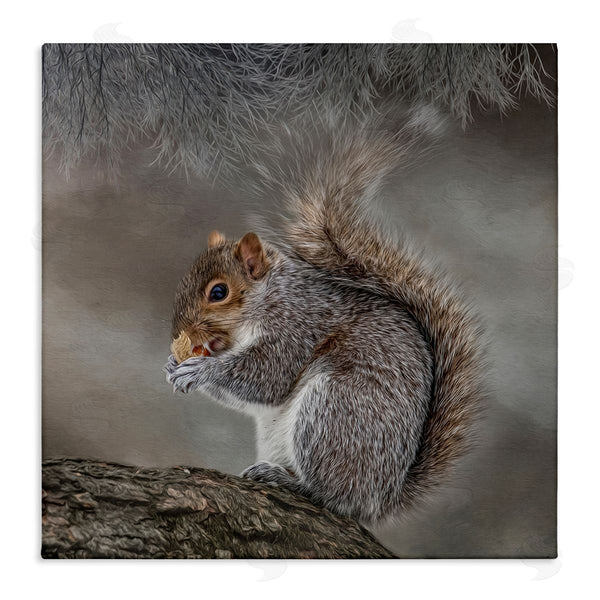 stupell industries Kelley Parker | Woodland Wildlife Squirrel Photography Wall Art