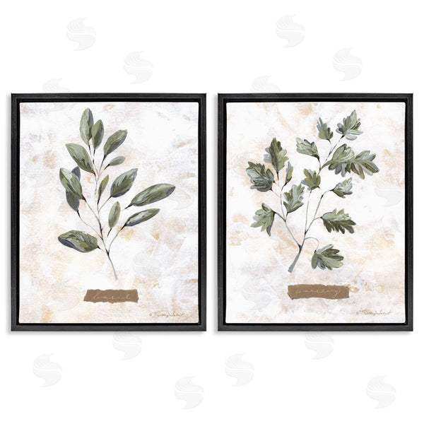 Stupell Industries Kelley Talent | Country Herbs Basil Parsley Sprigs Wall Art
