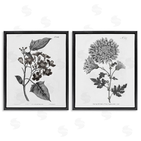 Stupell Industries Kelly Donovan | Vintage Budding Flowers Studies