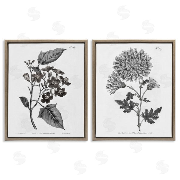 Stupell Industries Kelly Donovan | Vintage Budding Flowers Studies