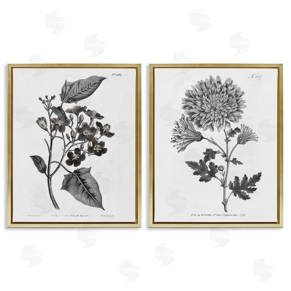 Stupell Industries Kelly Donovan | Vintage Budding Flowers Studies