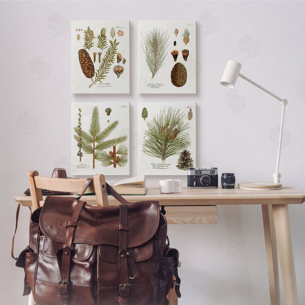 Stupell Industries Kelly Donovan | Vintage Forest Pine Illustrated Study Wall Art