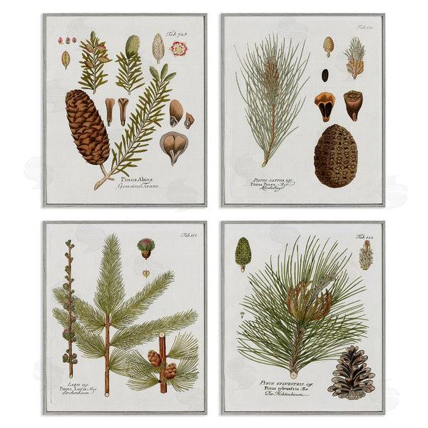 Stupell Industries Kelly Donovan | Vintage Forest Pine Illustrated Study Wall Art