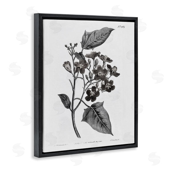 Stupell Industries Kelly Donovan | Vintage Wild Flower Branch Study