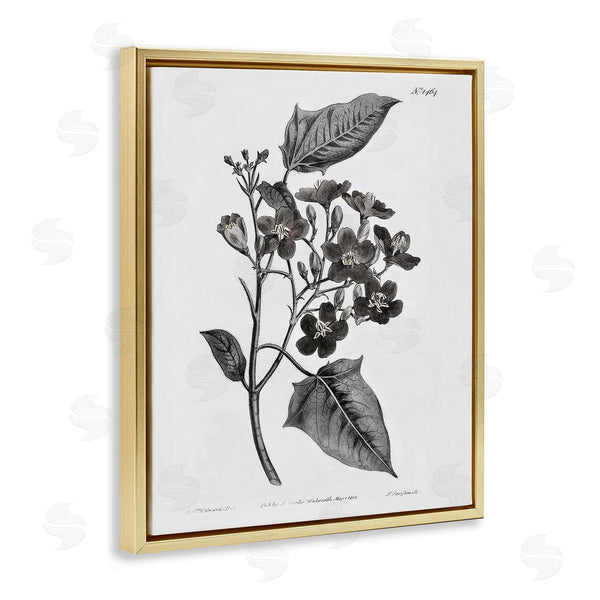 Stupell Industries Kelly Donovan | Vintage Wild Flower Branch Study