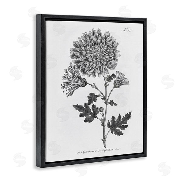 Stupell Industries Kelly Donovan | Vintage Woodland Flower