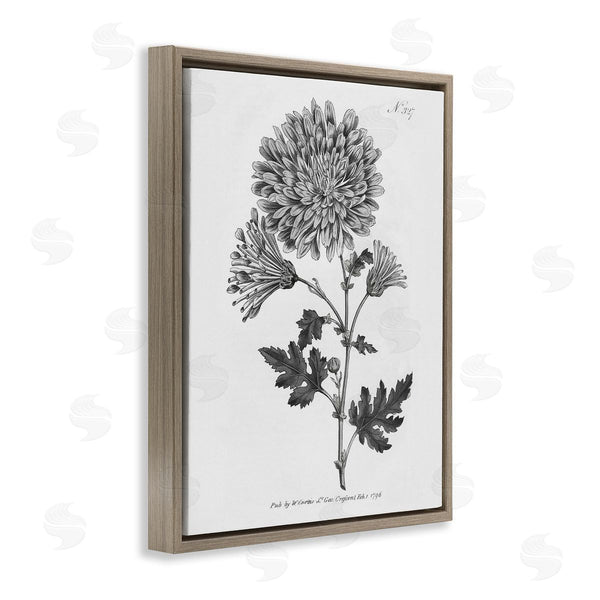Stupell Industries Kelly Donovan | Vintage Woodland Flower