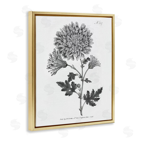 Stupell Industries Kelly Donovan | Vintage Woodland Flower
