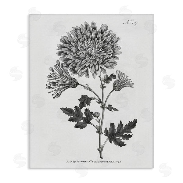 stupell industries Kelly Donovan | Vintage Woodland Flower