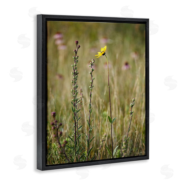 Stupell Industries Kent Burkhardsmeier | Yellow Daisy Sprout