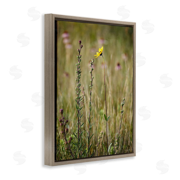 Stupell Industries Kent Burkhardsmeier | Yellow Daisy Sprout