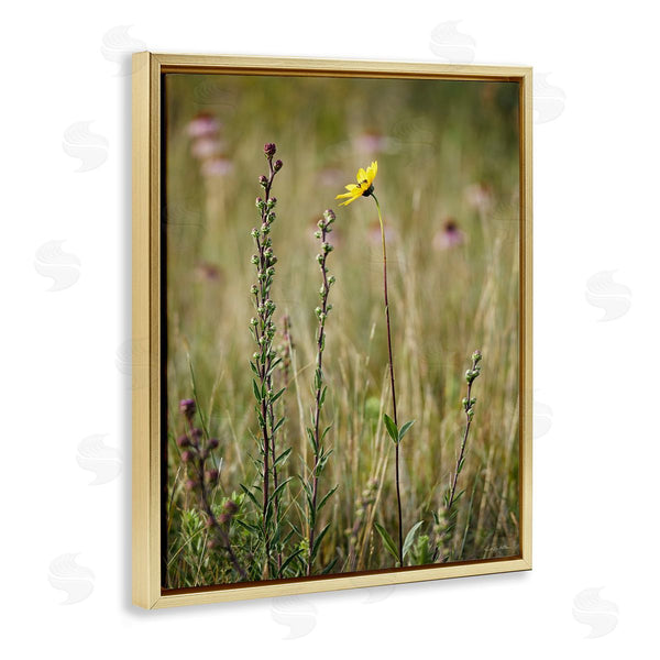 Stupell Industries Kent Burkhardsmeier | Yellow Daisy Sprout