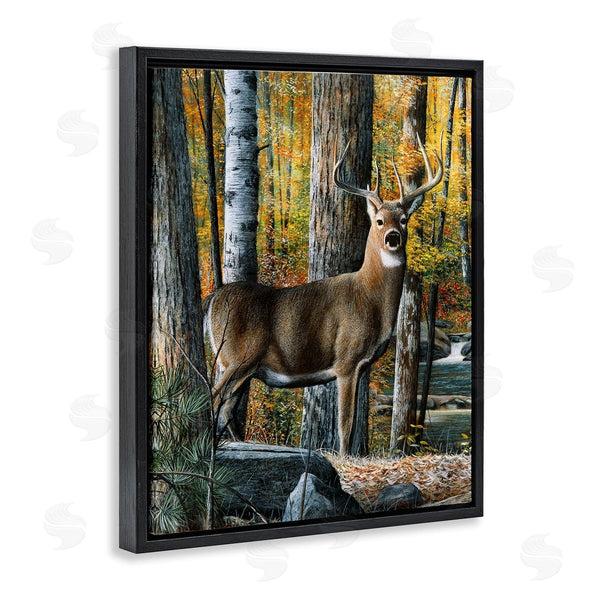 Stupell Industries Kevin Daniel | Deer Among Autumn Foliage Wall Art