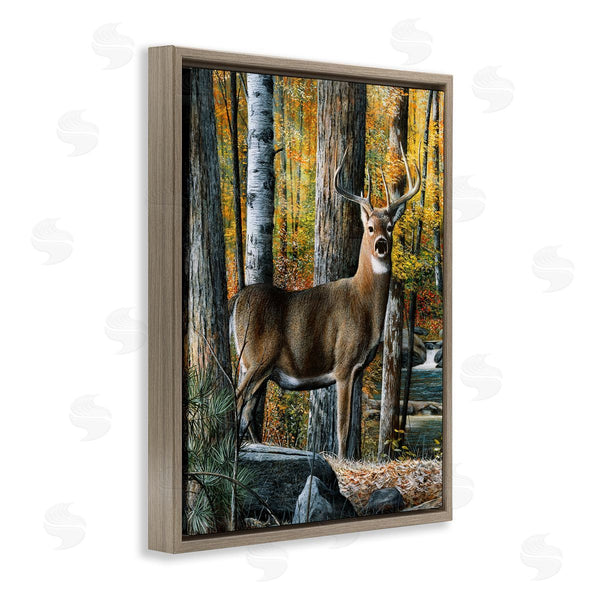 Stupell Industries Kevin Daniel | Deer Among Autumn Foliage Wall Art