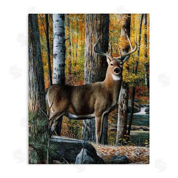 stupell industries Kevin Daniel | Deer Among Autumn Foliage Wall Art