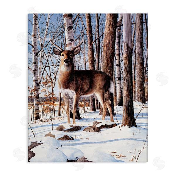 stupell industries Kevin Daniel | Deer in Snowy Forest Landscape Wall Art