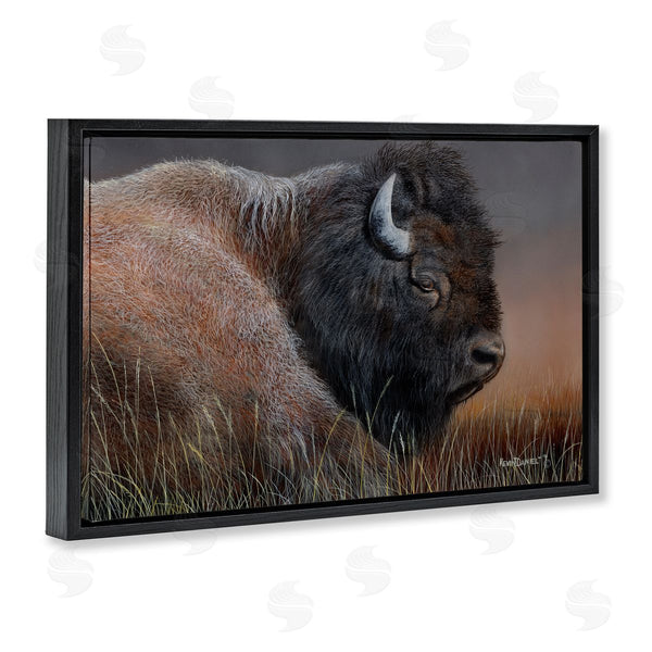 Stupell Industries Kevin Daniel | Detailed Bison Close Up Wall Art