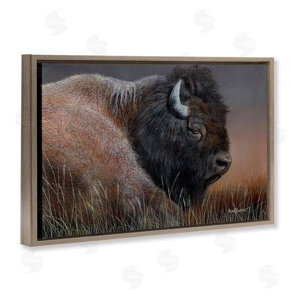 Stupell Industries Kevin Daniel | Detailed Bison Close Up Wall Art