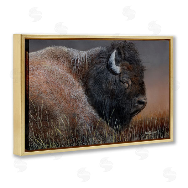 Stupell Industries Kevin Daniel | Detailed Bison Close Up Wall Art