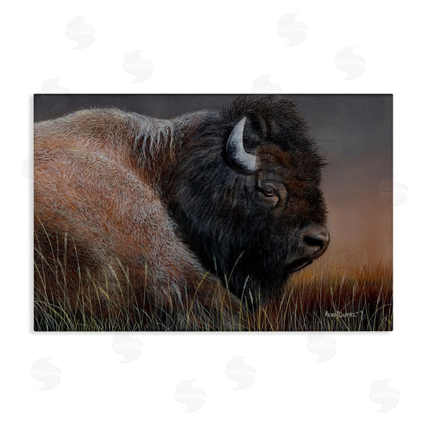 stupell industries Kevin Daniel | Detailed Bison Close Up Wall Art