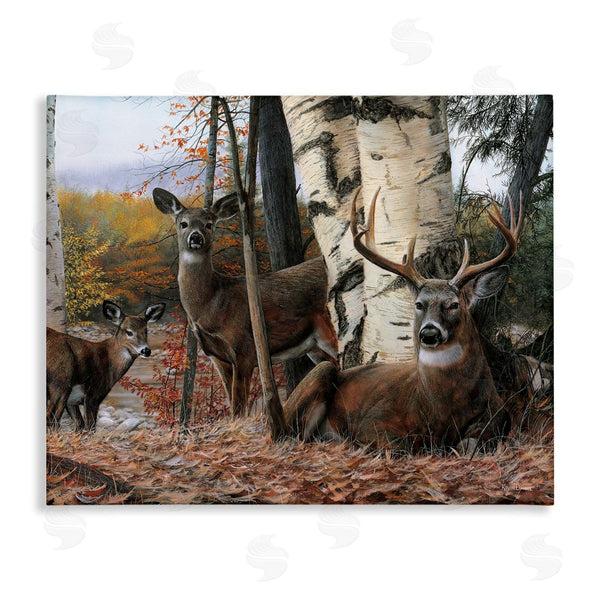 stupell industries Kevin Daniel | Elk Family Woodland Foliage Wall Art