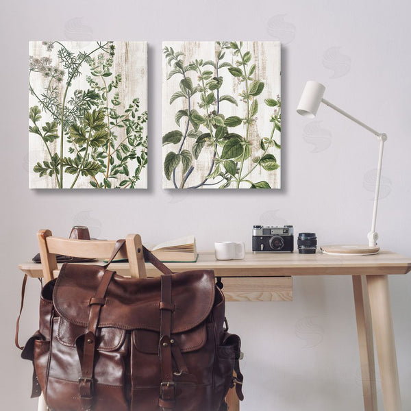 Stupell Industries Kim Allen | Aged Botanical Leaves Wall Art