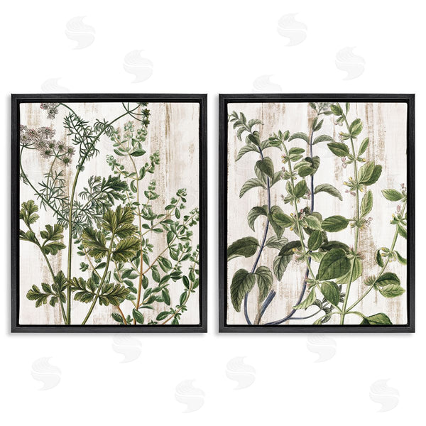 Stupell Industries Kim Allen | Aged Botanical Leaves Wall Art